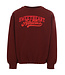 Pullover Kastanienbraun