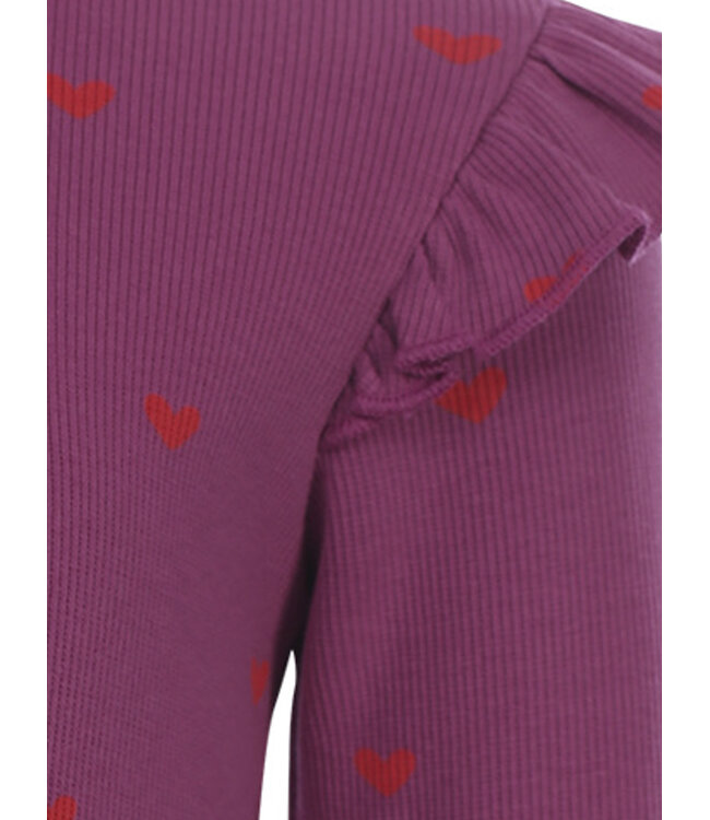 T-shirt rib jersey Paars Hartjes
