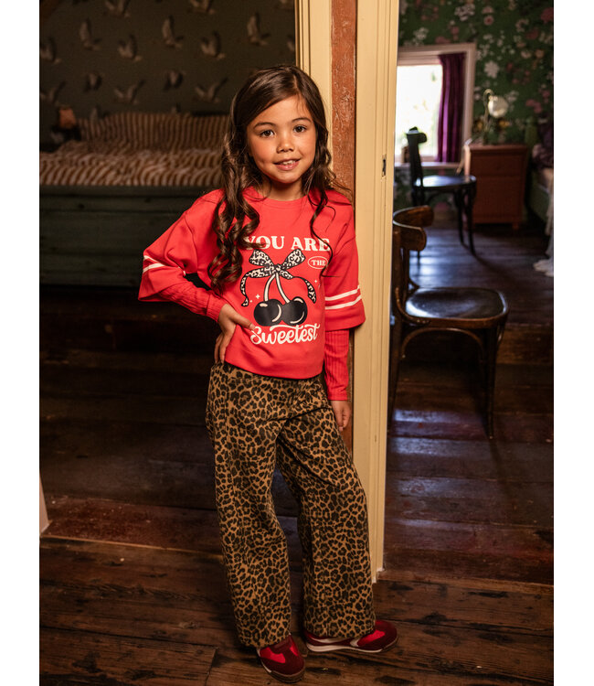Wide leg Denim Leopard
