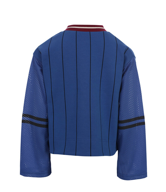 Kobalt sweater V-hals