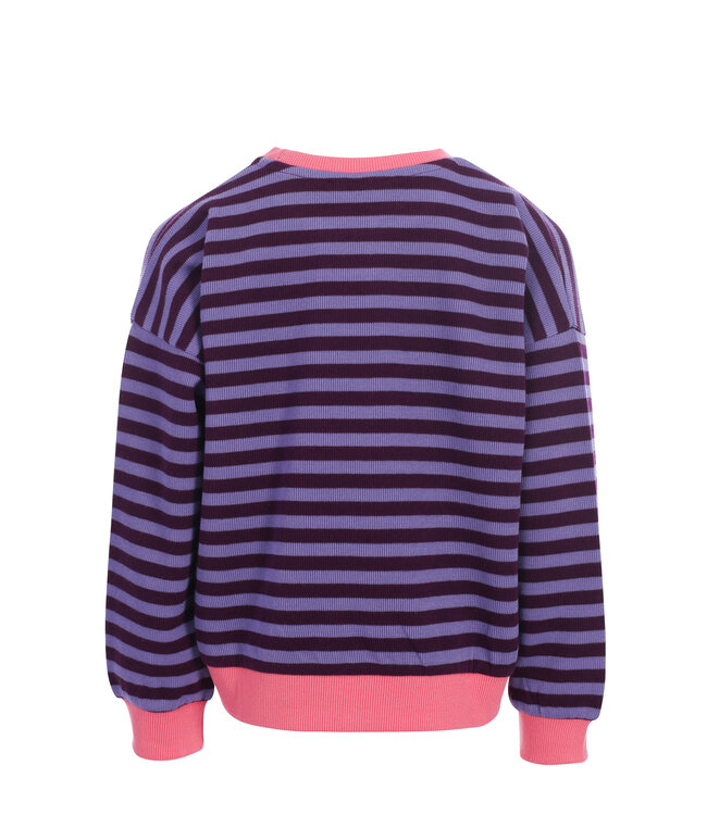 Sweater Paarse Streep
