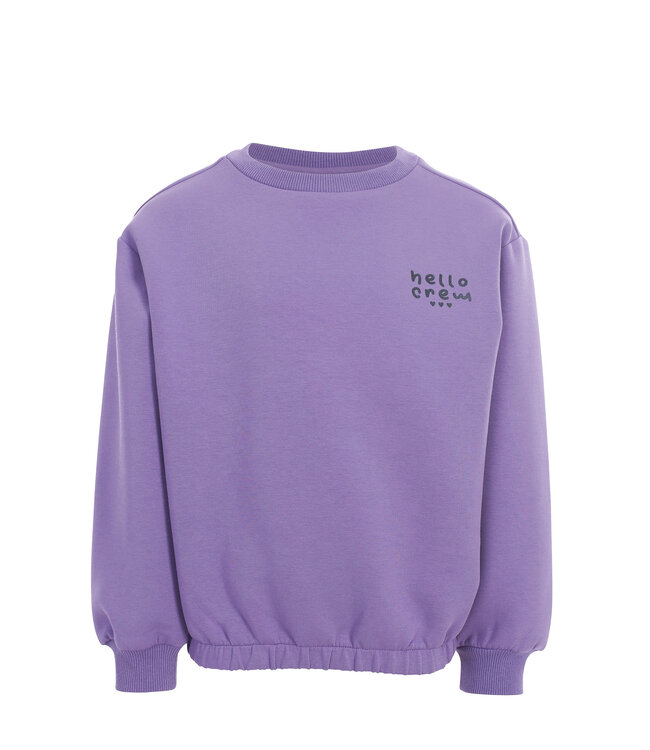 Sweater Lila backprint