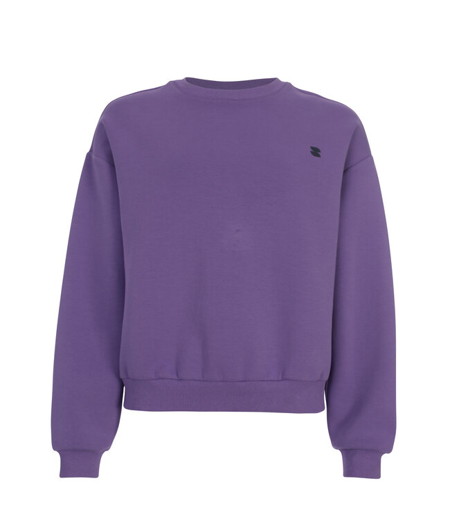 LXS Sweater Lila backprint