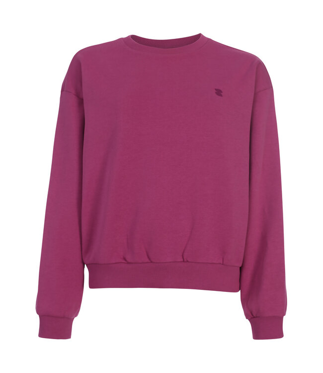 LXS Sweater Violet backprint