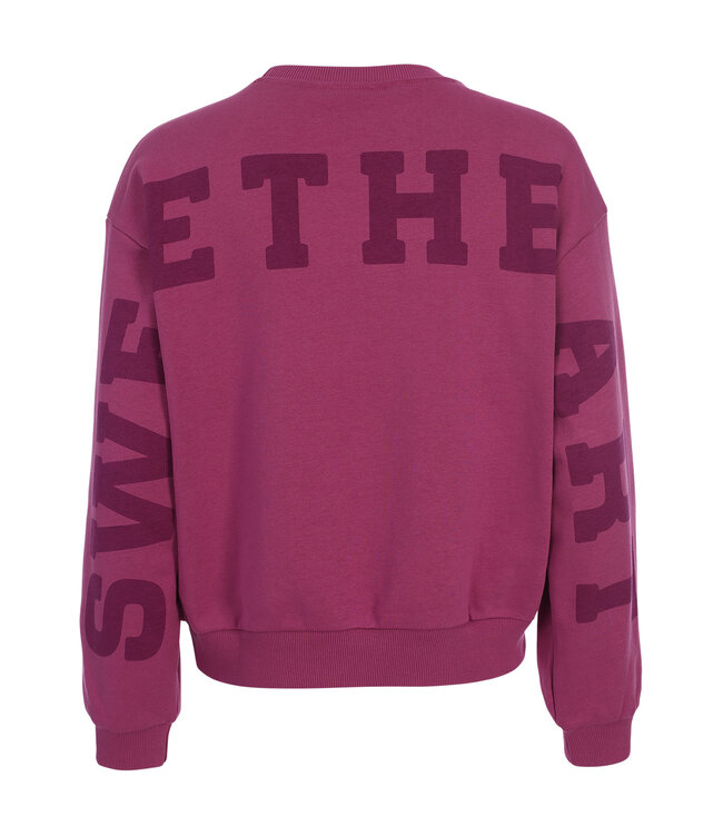 LXS Sweater Violet backprint