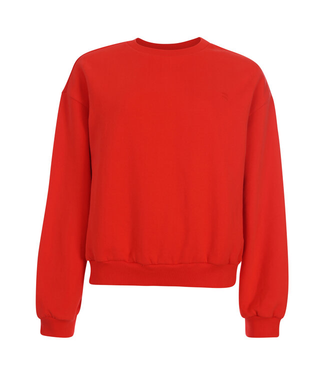 LXS Sweater Fire backprint