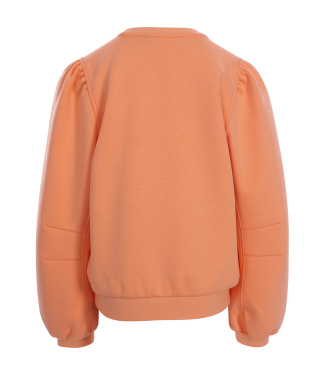 Sweater Coral
