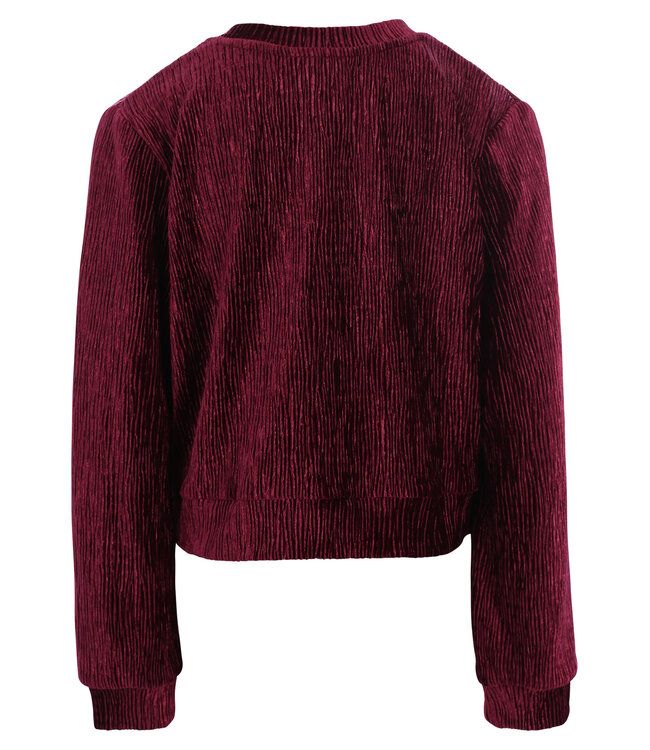 Velvet crincle top Ruby Red