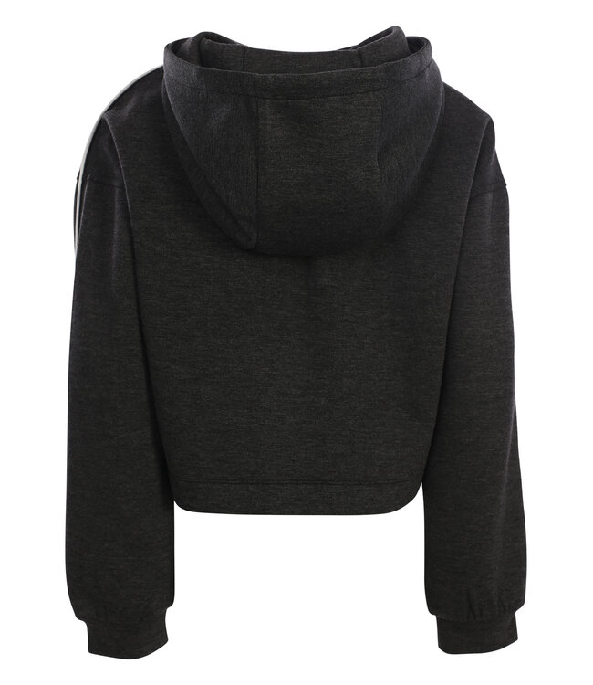 Hoody Grey Melee