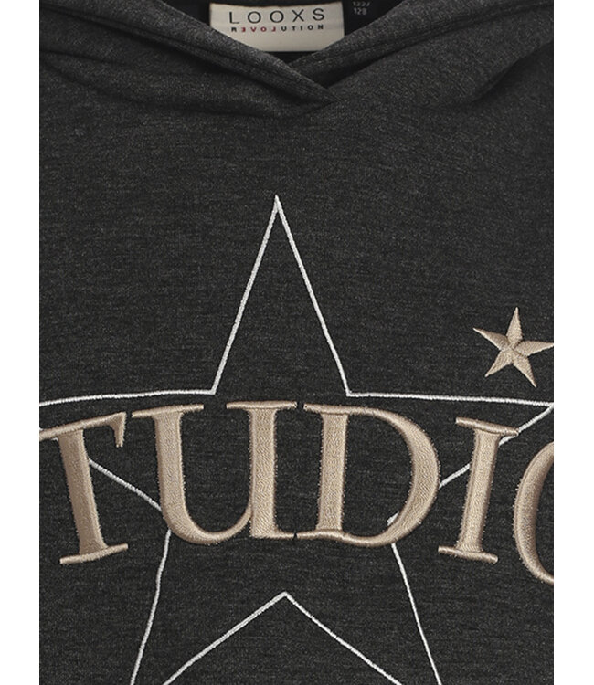Hoody Grey Melee