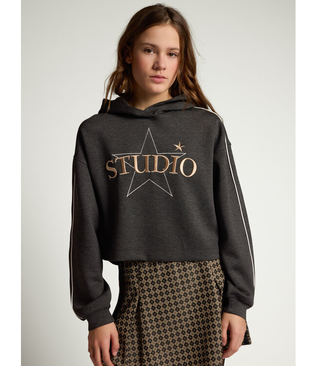 Hoody Grey Melee