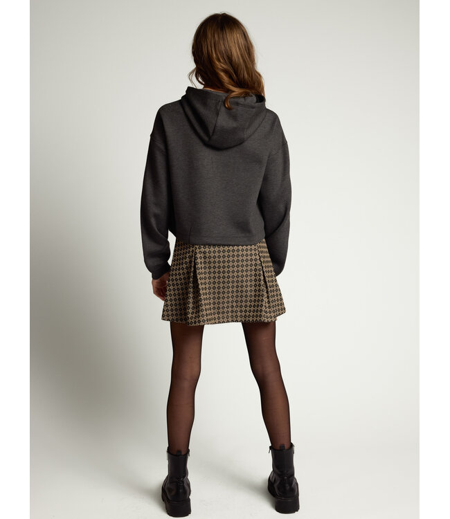 Hoody Grey Melee