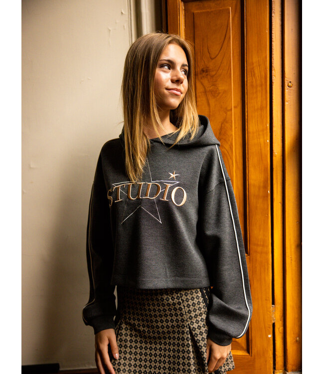 Hoody Grey Melee
