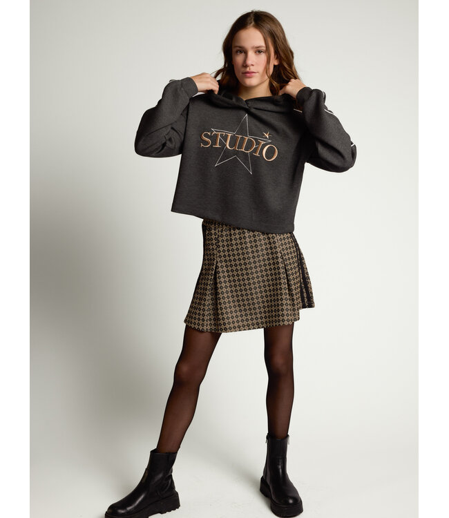 Sporty pleated skirt Argyle