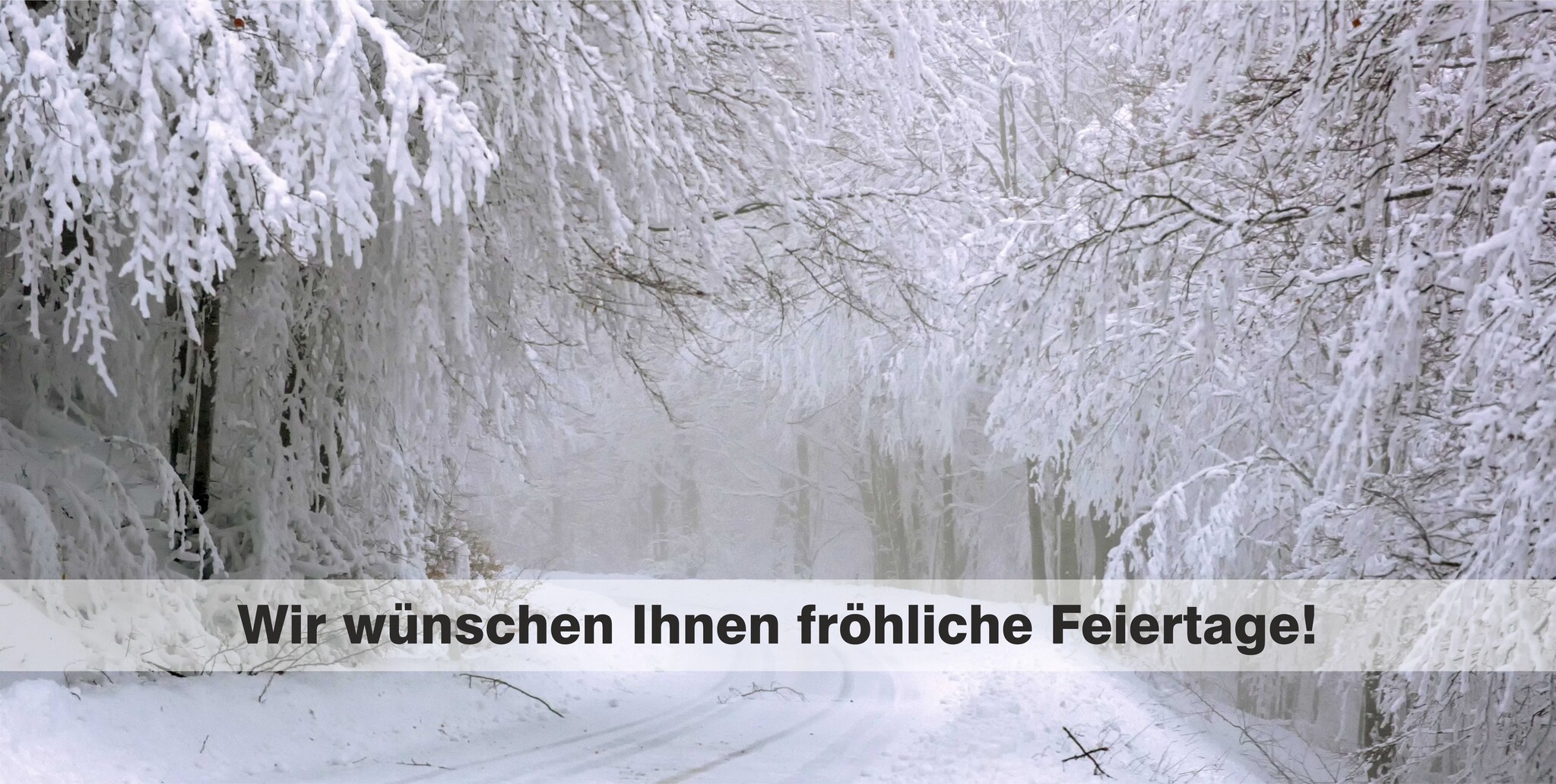 Frohe Weihnachten