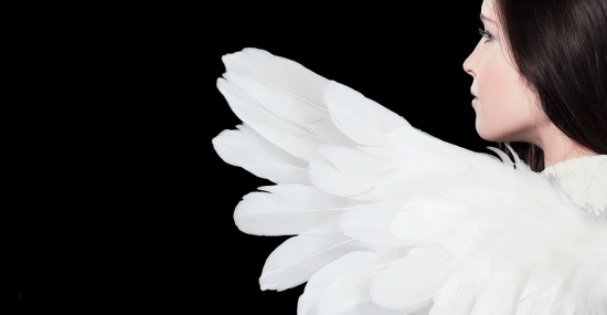 https://cdn.webshopapp.com/shops/259273/files/316658149/file.jpg