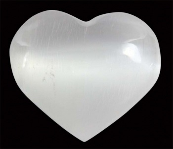 https://cdn.webshopapp.com/shops/259273/files/316671369/file.jpg