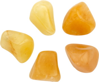 https://cdn.webshopapp.com/shops/259273/files/316671982/file.jpg