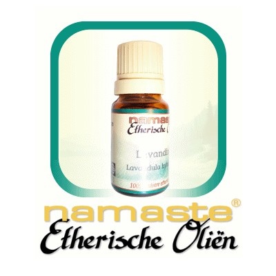 https://cdn.webshopapp.com/shops/259273/files/316673176/file.jpg