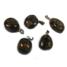 https://cdn.webshopapp.com/shops/259273/files/316679620/file.jpg