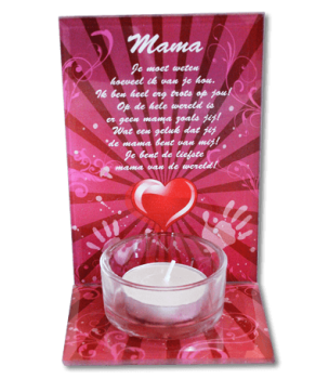 https://cdn.webshopapp.com/shops/259273/files/316692801/file.jpg