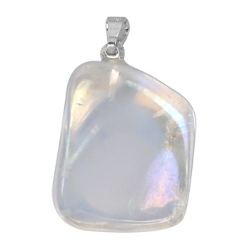 https://cdn.webshopapp.com/shops/259273/files/316693164/file.jpg