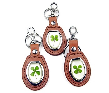 https://cdn.webshopapp.com/shops/259273/files/316695713/file.jpg