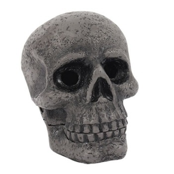 https://cdn.webshopapp.com/shops/259273/files/316734438/file.jpg