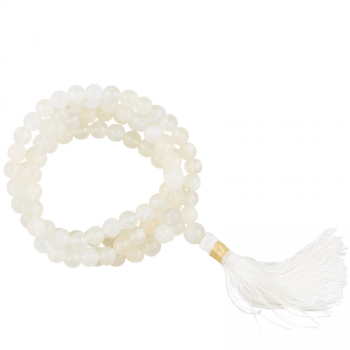 https://cdn.webshopapp.com/shops/259273/files/316740374/file.jpg