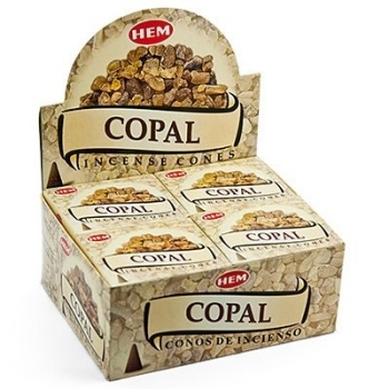 https://cdn.webshopapp.com/shops/259273/files/316743381/file.jpg