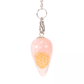 https://cdn.webshopapp.com/shops/259273/files/316743852/file.jpg