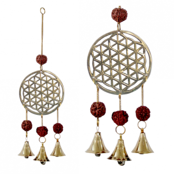 https://cdn.webshopapp.com/shops/259273/files/316745066/file.jpg