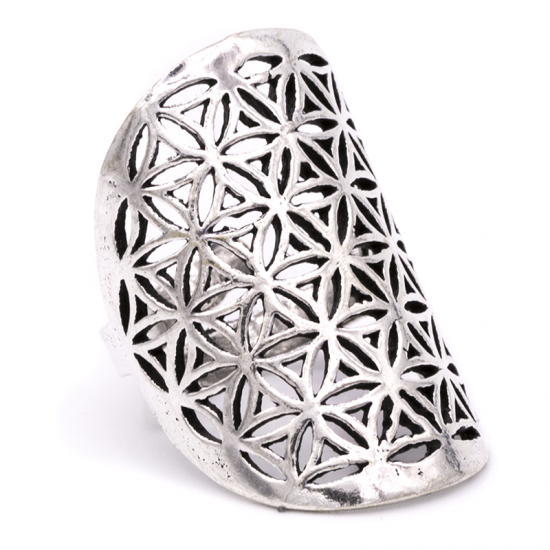 https://cdn.webshopapp.com/shops/259273/files/316751751/file.jpg