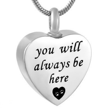 https://cdn.webshopapp.com/shops/259273/files/316761598/file.jpg