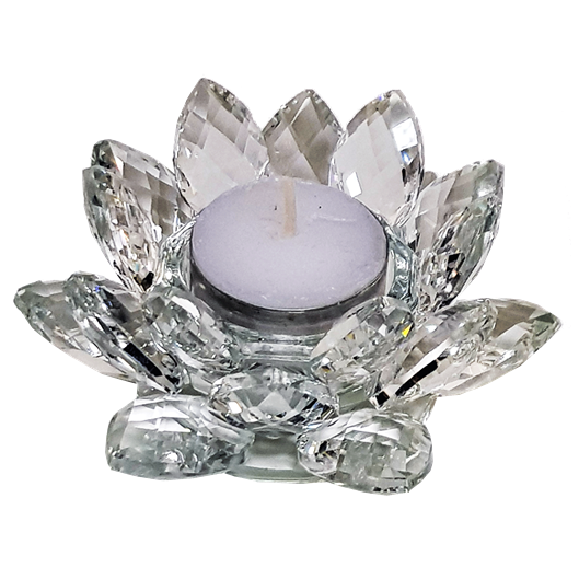 https://cdn.webshopapp.com/shops/259273/files/316770896/file.jpg