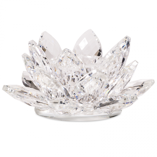 https://cdn.webshopapp.com/shops/259273/files/316770900/file.jpg