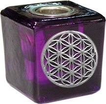 https://cdn.webshopapp.com/shops/259273/files/316773377/file.jpg
