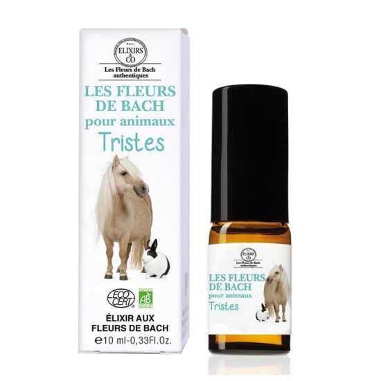 https://cdn.webshopapp.com/shops/259273/files/316773571/file.jpg