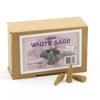https://cdn.webshopapp.com/shops/259273/files/316773616/file.jpg