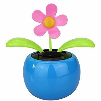 https://cdn.webshopapp.com/shops/259273/files/316774724/file.jpg