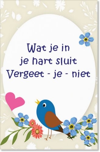https://cdn.webshopapp.com/shops/259273/files/322188423/file.jpg