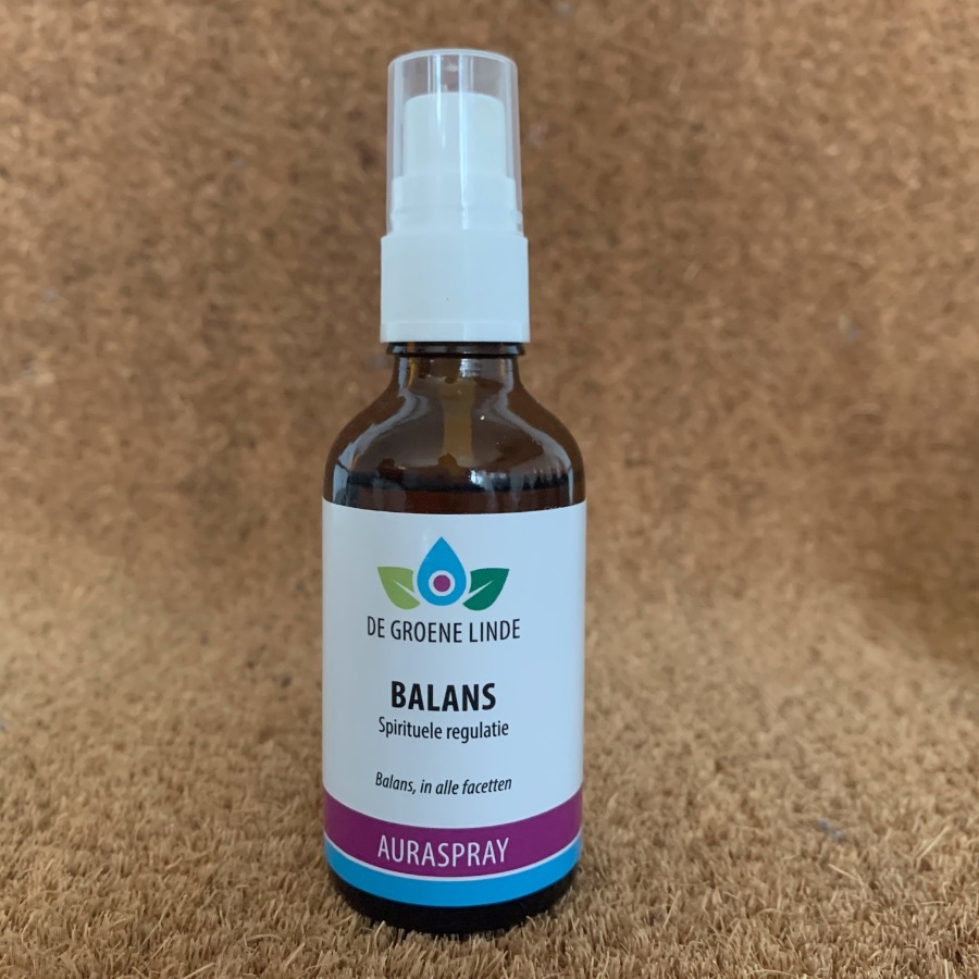 https://cdn.webshopapp.com/shops/259273/files/336933346/file.jpg