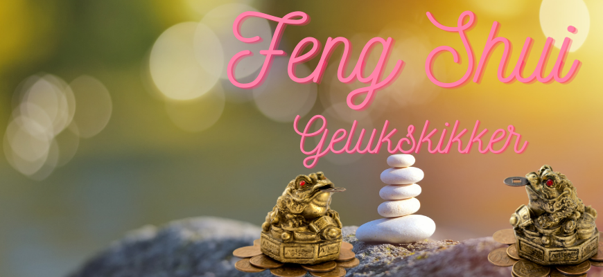Feng Shui kikker