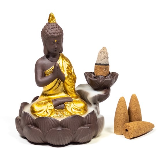 https://cdn.webshopapp.com/shops/259273/files/340265336/file.jpg