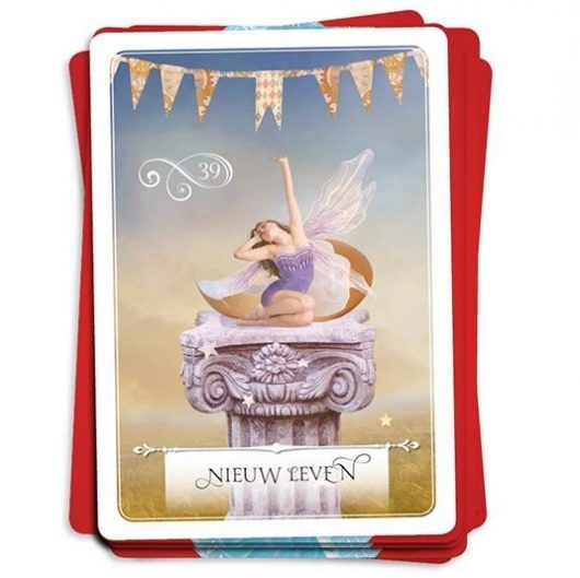 https://cdn.webshopapp.com/shops/259273/files/351881140/file.jpg