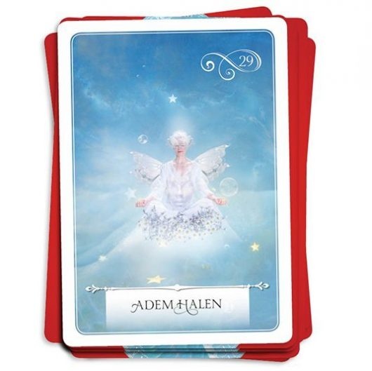 https://cdn.webshopapp.com/shops/259273/files/351881149/file.jpg