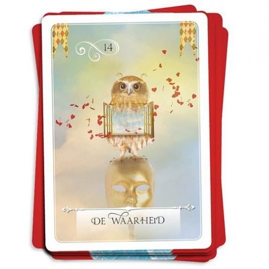 https://cdn.webshopapp.com/shops/259273/files/351881153/file.jpg