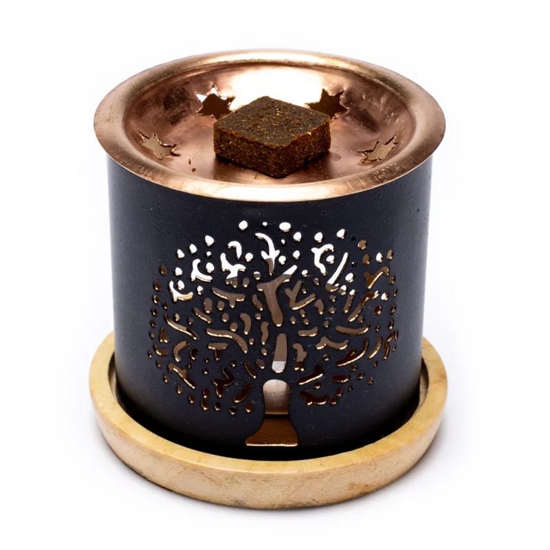 https://cdn.webshopapp.com/shops/259273/files/369352390/file.jpg
