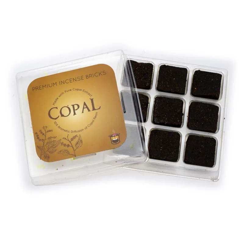 https://cdn.webshopapp.com/shops/259273/files/378561429/file.jpg