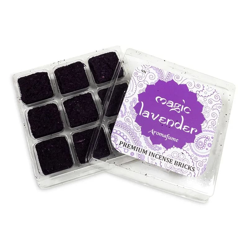 https://cdn.webshopapp.com/shops/259273/files/378561637/file.jpg
